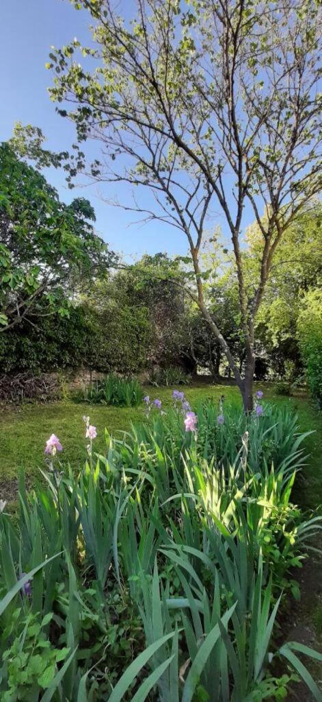 Apartment Mazet Chantilly, 3 Etoiles De France, Ales